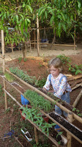 Огород в детском саду в Гоа